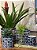 Cachepot em Ceramica - Azul e Branco - 12CM - Imagem 2
