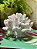 Coral com Base - Resina - Branco - Imagem 1