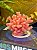 Vela Coral - Rosa - Imagem 1