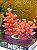 Vela Coral - Rosa - Imagem 3