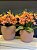 Cachepot em Cimento - Rosa - Relevo - 24,5CM - Imagem 3