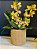 Cachepot em Cimento - Bege - Relevo -  16,5CM - Imagem 1