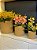 Cachepot em Cimento - Bege - Relevo -  16,5CM - Imagem 3