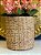 Cachepot em Cimento - Bege - Relevo -  22,5CM - Imagem 2