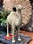 Camelo - Decorativo -  Resina - Bege - Imagem 2