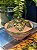 Pote Marroquino - Ceramica com Metal - Rosa - Imagem 1