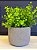 Cachepot em Cimento - Relevo -  14,5CM - Imagem 1