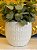Cachepot em Ceramica - Branco - 18CM - Imagem 2