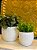 Cachepot em Ceramica - Branco - 18CM - Imagem 3
