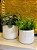 Cachepot em Ceramica - Branco - 14,5CM - Imagem 4