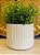 Cachepot em Ceramica - Branco - 14,5CM - Imagem 2