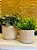 Cachepot em Ceramica - Bege - 17,5CM - Imagem 3