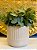 Cachepot em Ceramica - Bege - 17,5CM - Imagem 1