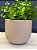 Cachepot em Cimento - 15cm - Imagem 2