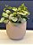 Cachepot em Cimento - 18,5cm - Imagem 1