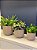 Cachepot em Cimento - 22cm - Imagem 3