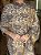 Pashmina de Viscose - Estampada - Dupla Face - Roxo e Bege - Imagem 3