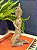 Buda - Decorativo - Resina - 25CM - Imagem 2