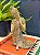 Buda - Decorativo - Resina - 23CM - Imagem 1