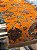 Caminho de Mesa em Jacquard - Laranja - Imagem 4
