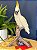 Escultura Cacatua - Decorativa - Cerâmica - Branca e Amarelo - Imagem 1