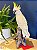 Escultura Cacatua - Decorativa - Cerâmica - Branca e Amarelo - Imagem 2