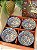 Kit 4 Bowls - Cerâmica - Azul e Vermelho - Imagem 1