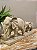 Familia Elefante - Resina - Imagem 2