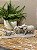 Familia Elefante - Resina - Imagem 1