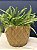 Cachepot em Ceramica - Dourado Fosco - 25CM - Imagem 1