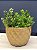 Cachepot em Ceramica - Dourado Fosco - 18CM - Imagem 1