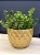 Cachepot em Ceramica - Dourado - 18CM - Imagem 1