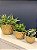 Cachepot em Ceramica - Dourado - 18CM - Imagem 2