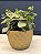 Cachepot em Ceramica - Dourado Fosco - 14CM - Imagem 1