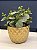 Cachepot em Ceramica - Dourado - 14CM - Imagem 1