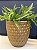 Cachepot em Ceramica - Dourado Fosco - 25CM - Imagem 1