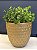 Cachepot em Ceramica - Dourado Fosco - 20CM - Imagem 1
