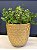 Cachepot em Ceramica - Dourado - 20CM - Imagem 1