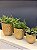 Cachepot em Ceramica - Dourado - 20CM - Imagem 2