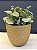 Cachepot em Ceramica - Dourado Fosco - 15CM - Imagem 1