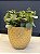 Cachepot em Ceramica - Dourado - 15CM - Imagem 1