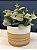 Cachepot em Ceramica - Branco e Marrom - 15CM - Imagem 1