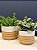 Cachepot em Ceramica - Branco e Marrom - 15CM - Imagem 2