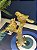 Escultura Pássaros - Decorativo - Resina - Dourado - 18CM - Imagem 3