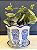 Cachepot em Cerâmica - Azul e Branco - 15CM - Imagem 1