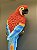 Escultura de Parede - Arara - Decorativa - Resina - Vermelho e Colorido - 34CM - Imagem 3