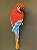 Escultura de Parede - Arara - Decorativa - Resina - Vermelho e Colorido - 34CM - Imagem 2