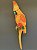 Escultura de Parede - Cacatua - Decorativa - Resina - Laranja e Colorido - Imagem 1