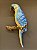 Escultura de Parede - Arara - Decorativa - Resina - Azul e Amarelo - 29CM - Imagem 2
