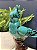Escultura Cacatua - Decorativa - Cerâmica - Turquesa e Marrom - Imagem 3